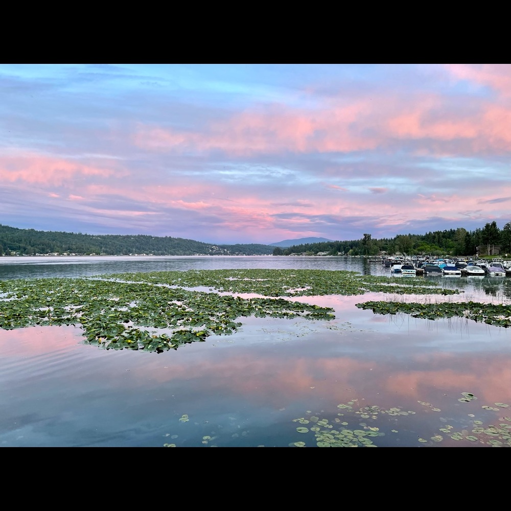 Meet your Posher, Cathy